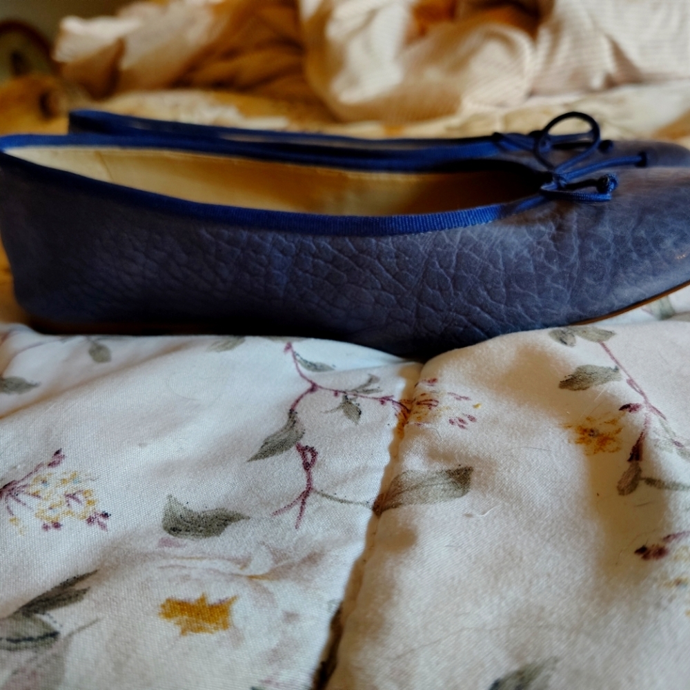 Anthropologie Guilhermina Blue Ballet Flats Size 9